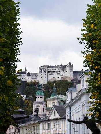 Properties in Austria Salzburg