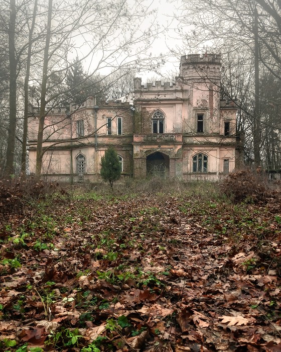 Historical gem Mazovia: Palace in Cisie, Cisie-Zagrudzie