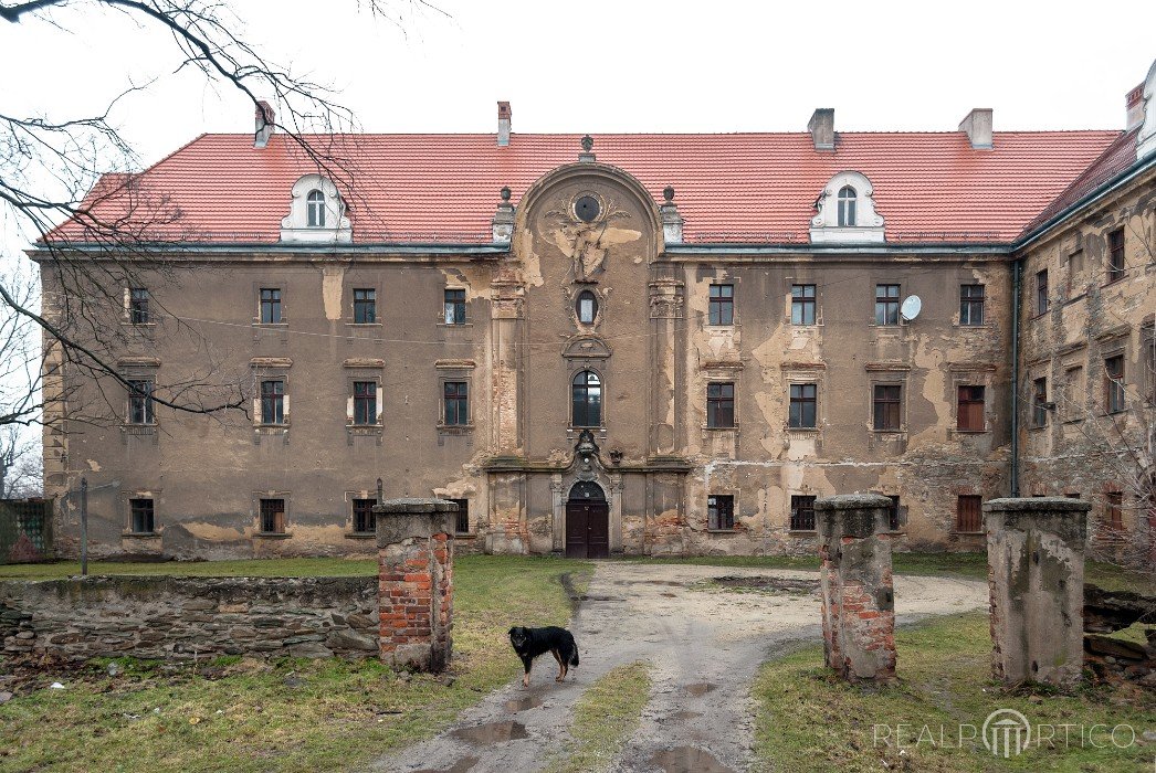 Palace in Pyszczyn, Pyszczyn