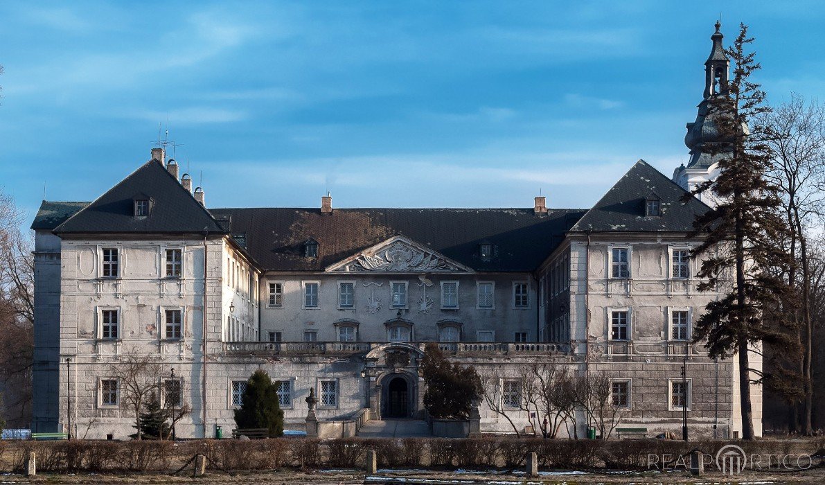 Palace in Zabór, Zabór