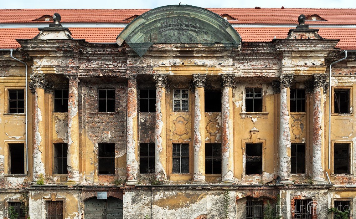 Castle in Żary - Giant order, Żary