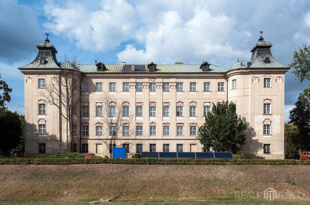 Schloss Reisen (Rydzyna), Großpolen, Rydzyna