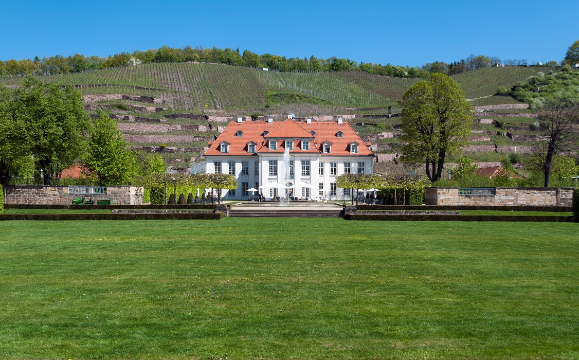 Wackerbarth Palace - Saxon's State Vineyard, Radebeul