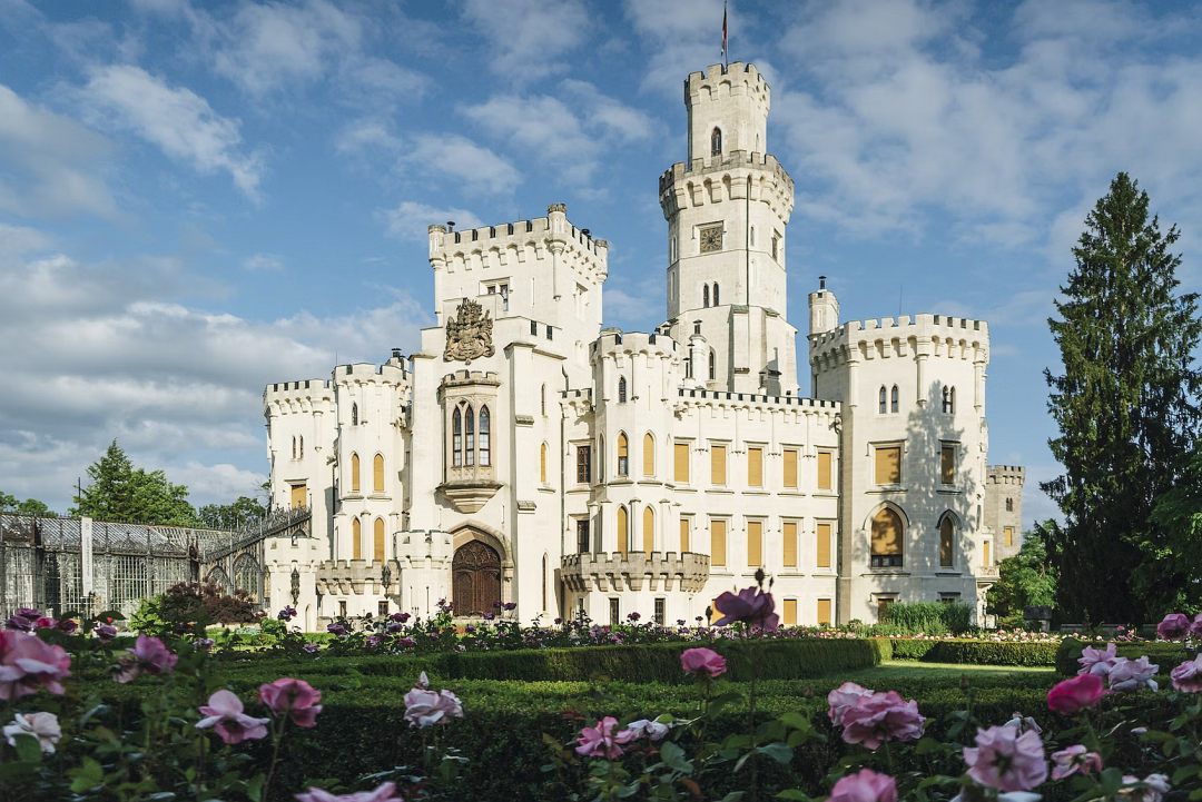 Designing the castle garden with climbing roses